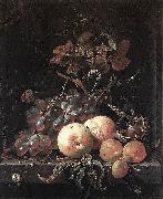 Still-Life with Fruits Abraham Mignon